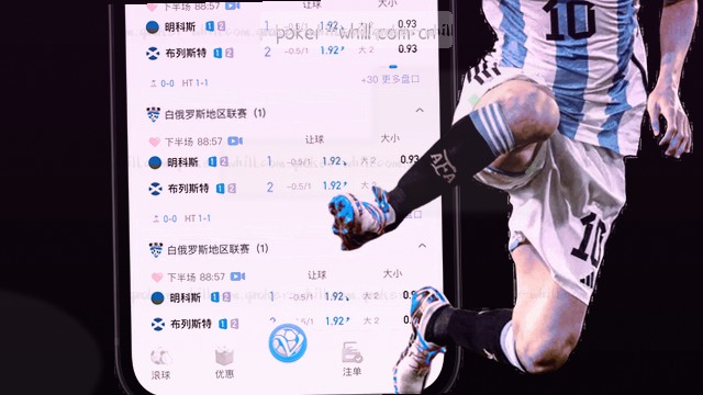 安卓版中文界面适配